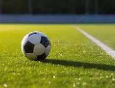 科索沃,西班牙世预,赛欧洲区第,亚博体育,亚博体育官网,亚博体育app,亚博体育下载