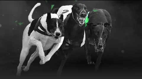 尤文图斯欲以弗拉霍维奇交易引进托纳利