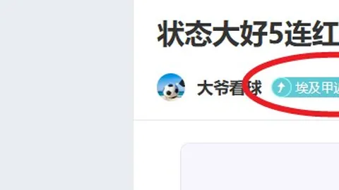 网球传奇阿加西青睐的新兴运动：匹克球魅力何在？